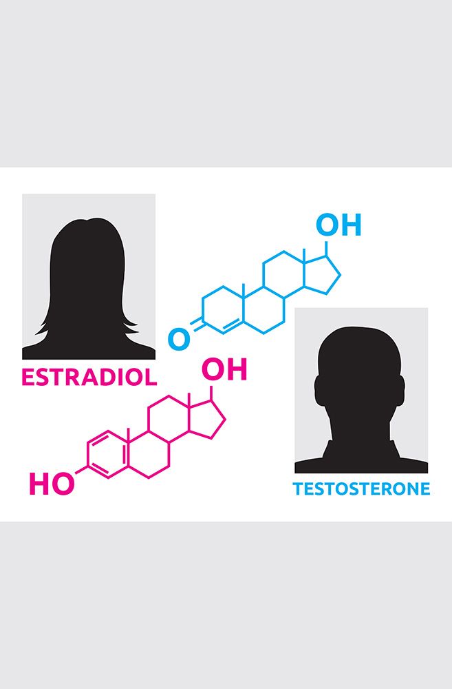 hormones